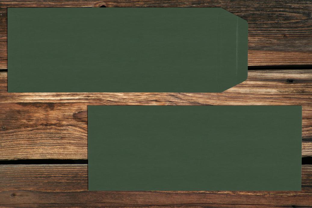 Versandtaschen 125x312 mm Nassklebend Dunkelgrün120